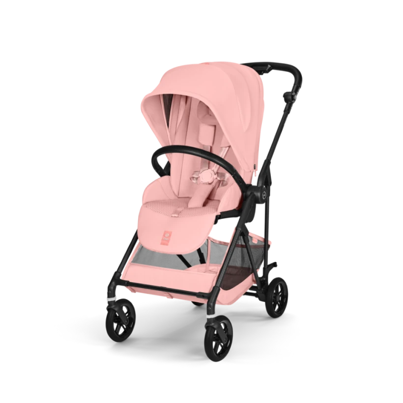 2025-2026 MELIO CARBON(メリオ カーボン) - Babiew(べビュー) - Babiew