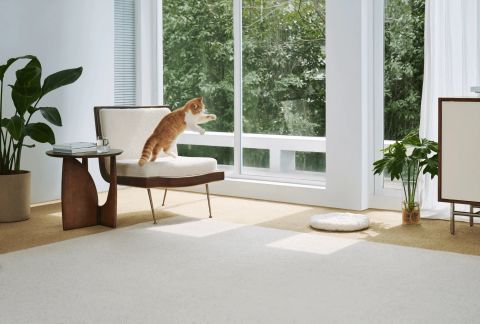 スマートカメラ C701